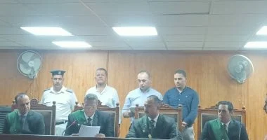 السجن 15 عاما للسائق المتسبب فى وفاة 19 ضحية على الطريق الإقليمى بالمنوفية