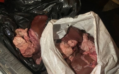 ضبط 26 كيلوغرامًا من الكبدة الفاسدة في تربة