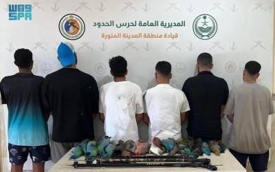 ضبط 6 مواطنين مخالفين للائحة الأمن والسلامة بالمدينة المنورة