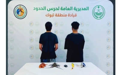 ضبط مخالفات في تبوك: حرس الحدود يلاحق مواطنين خالفوا لائحة الأمن البحري