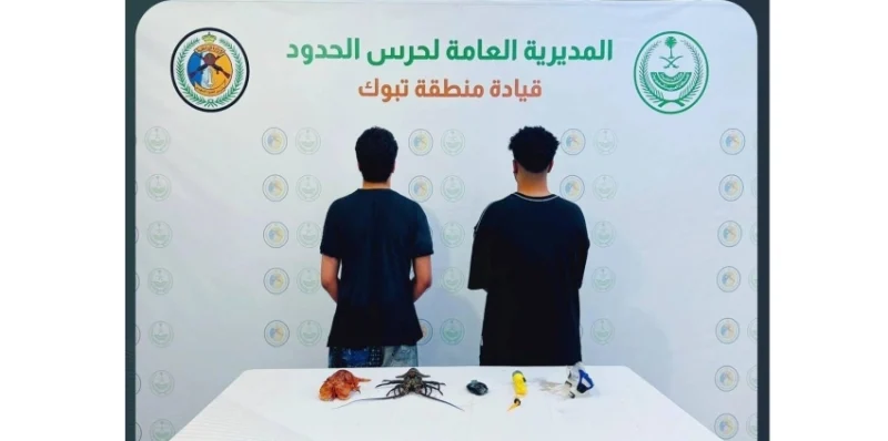 ضبط مخالفات في تبوك: حرس الحدود يلاحق مواطنين خالفوا لائحة الأمن البحري