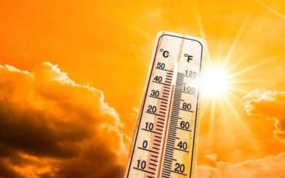 طقس اليوم: ارتفاع شديد في الحرارة والرطوبة بالقاهرة مع 35 درجة عظمى  
الحرارة اليوم: رطوبة مرتفعة والعظمى في القاهرة تسجل 35 درجة  
توقعات الطقس: شدة الحرارة والرطوبة العالية بالقاهرة تصل إلى 35 درجة  
أحوال الطقس: ارتفاع الحرارة ورطوبة مرتفعة في القاهرة بـ 35 درجة عظمى