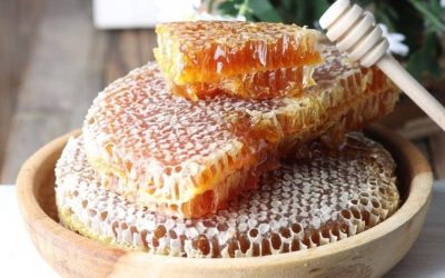 عسل الباحة يعكس ثقافة غذائية ويعزز الاقتصاد والسياحة عبر 15 نوعًا