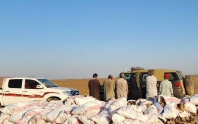 عملية ضبط تسفر عن اعتقال مواطن وخمسة مقيمين لتجاوزهم نظام البيئة باقتلاع أشجار في محمية الملك سلمان