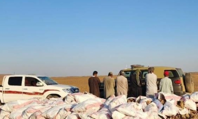 عملية ضبط تسفر عن اعتقال مواطن وخمسة مقيمين لتجاوزهم نظام البيئة باقتلاع أشجار في محمية الملك سلمان