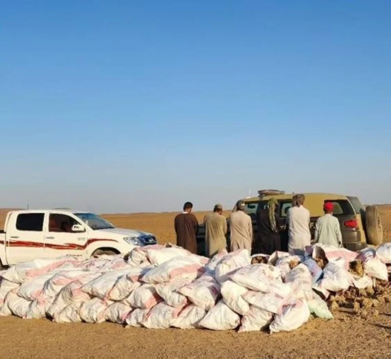 عملية ضبط تسفر عن اعتقال مواطن وخمسة مقيمين لتجاوزهم نظام البيئة باقتلاع أشجار في محمية الملك سلمان