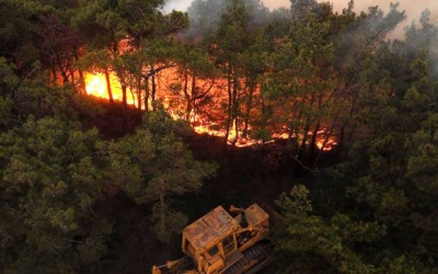 فرق إطفاء أردنية تصل سوريا بتوجيهات ملكية لمواجهة حرائق اللاذقية