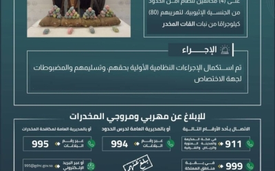 قبض حرس الحدود بعسير على 4 مخالفين لنظام أمن الحدود أثناء تهريب 80 كيلوجرامًا من نبتة القات المخدر