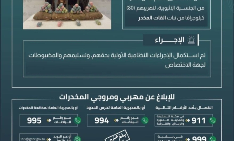 قبض حرس الحدود بعسير على 4 مخالفين لنظام أمن الحدود أثناء تهريب 80 كيلوجرامًا من نبتة القات المخدر