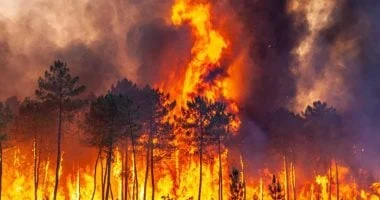 قمر صناعى جديد يراقب الأرض كل 20 دقيقة لرصد حرائق الغابات قبل اندلاعها