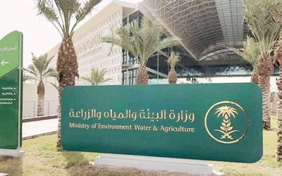 لأول مرة، إدخال تقنية إنترنت الأشياء في إدارة مزارع الماشية لتحسين الكفاءة والإنتاج.