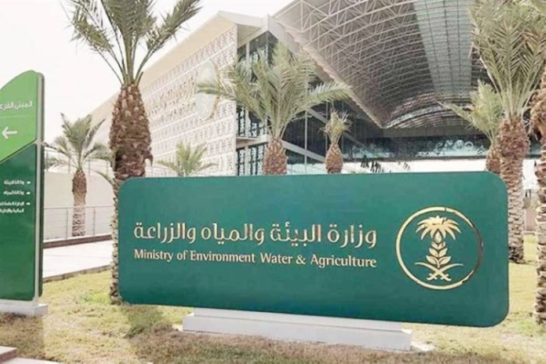 لأول مرة، إدخال تقنية إنترنت الأشياء في إدارة مزارع الماشية لتحسين الكفاءة والإنتاج.