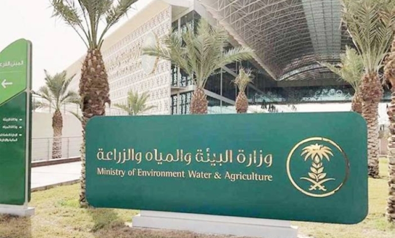 لأول مرة، إدخال تقنية إنترنت الأشياء في إدارة مزارع الماشية لتحسين الكفاءة والإنتاج.