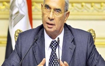 مجلس الشيوخ يثري الحياة السياسية برؤية رفعت قمصان