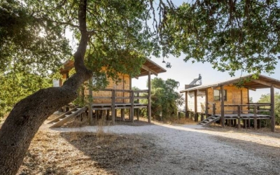 محمية عجلون تعلن إغلاق قرية ألعاب المغامرة مؤقتاً بدءاً من هذا الموعد