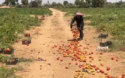 مزارع معان يحرق محصوله بيده في مشهد يلامس القلوب