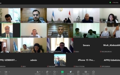 مفاوضات جديدة لإنهاء ملفات فتح السوق الأوزبكي أمام العنب والرمان المصري