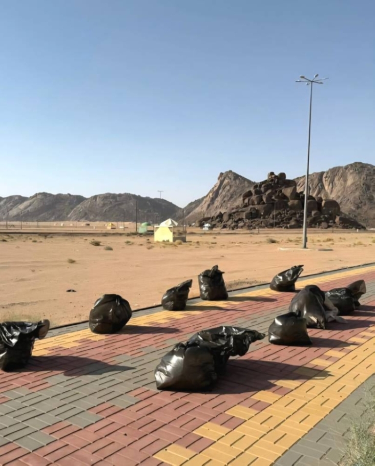 مكتب بيئة رنية يقوم بتنظيف المنتزه الشمالي لحماية البيئة