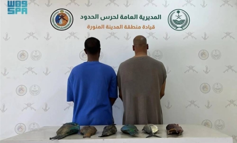 مواطنون يعاقَبون بسبب خروقات الأمن والسلامة البحرية في ينبع