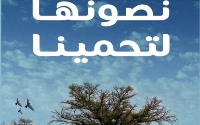 هيئة تطوير المحمية تعزّز الاستدامة البيئية لحماية البيئة