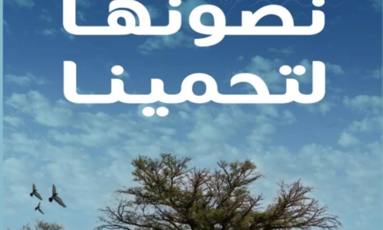 هيئة تطوير المحمية تعزّز الاستدامة البيئية لحماية البيئة