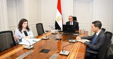 وزير الخارجية يشارك في اللقاء الافتراضي مع الجالية المصرية بواشنطن ونيويورك