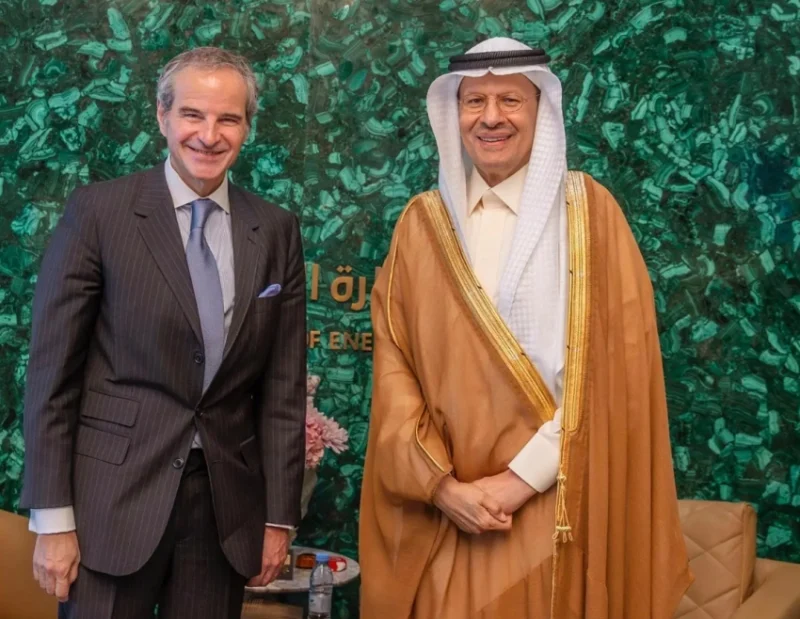 وزير الطاقة يلتقي مدير الوكالة الذرية لمناقشة سبل تعزيز التعاون الفني والتقني.