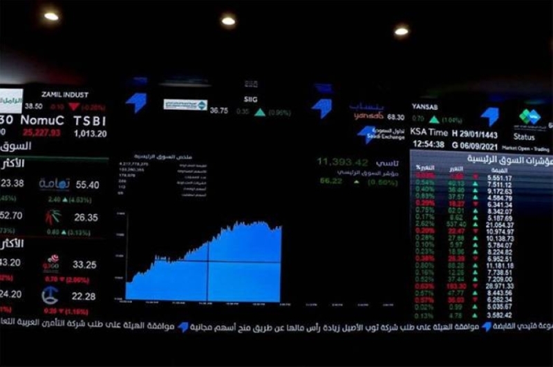 13 مليون محفظة استثمارية للأفراد في سوق الأسهم تعكس نمو القطاع المالي.