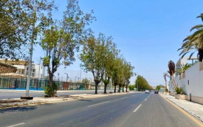 أمانة جدة تعلن عن خطة شاملة لتطوير شوارع حي الروضة