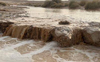 أمطار غزيرة تتسبب في سيول بمحافظة معان