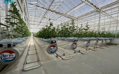 إطلاق النسخة الثانية من برنامج التدريب في إدارة البيوت المحمية بالتعاون مع "نيوم للغذاء" من قبل "استدامة"