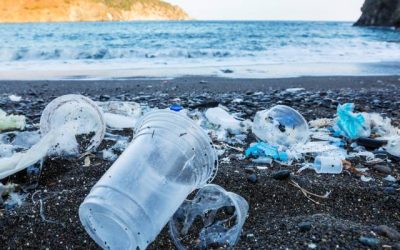 اجتماع تنسيقي في العقبة لمكافحة التلوث البحري تنفيذاً لتوصيات "درب الأمان 4"