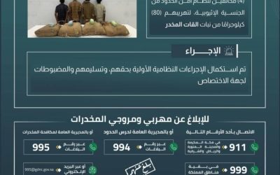 اعتقال 4 مخالفين في جازان لتهريب 80 كلجم من نبات القات المخدر