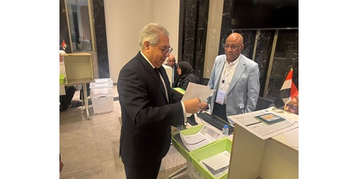 الجالية المصرية تتصدر المشاركة الانتخابية في الخارج وفقاً للسفير المصري للأنباء