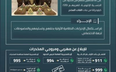 القبض على ستة مهربين بحوزتهم 120 كيلوجرامًا من القات المخدر