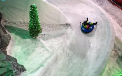 الوجهات الثلجية التفاعلية تُحدث ثورة في عالم الترفيه الصيفي