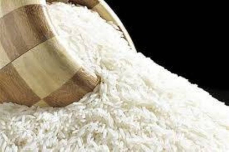 انخفاض ملحوظ في أسعار الأرز على مستوى العالم بنسبة تصل إلى 5%.