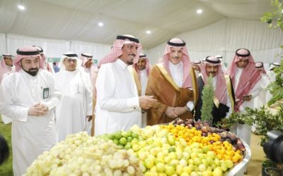 انطلاق مهرجان المنتجات الزراعية 3 في تيماء بمشاركة أكثر من 30 مزارعًا