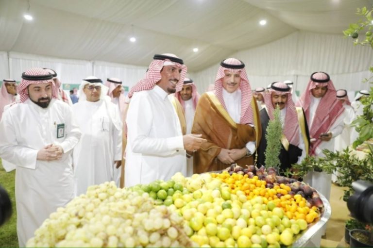 انطلاق مهرجان المنتجات الزراعية 3 في تيماء بمشاركة أكثر من 30 مزارعًا