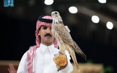 بيع صقرين بقيمة 180 ألف ريال