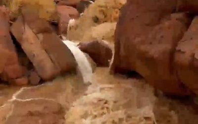 تبوك تستقبل أمطاراً غزيرة اليوم   
أمطار غزيرة تضرب منطقة تبوك  
سقوط أمطار قوية في تبوك   
تبوك تحت هطول الأمطار الموسمية  
توقعات بأمطار للأيام القادمة في تبوك