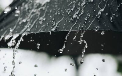 تحذير عاجل: أمطار متفرقة في الجفر والأزرق وفقاً للدوريات الخارجية