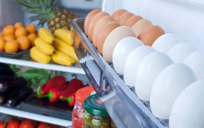 تحذير عاجل: "الغذاء والدواء" تدعو لاتخاذ تدابير صارمة لسلامة الغذاء في موجة الحر