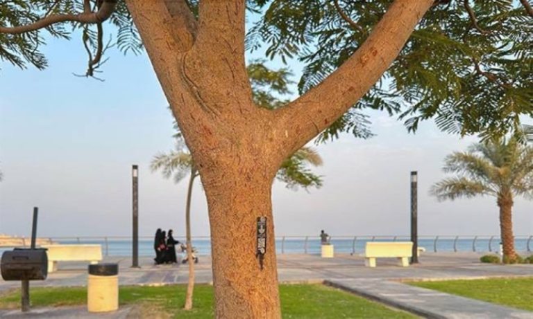 تحويل 100 ألف شجرة إلى الرقمية