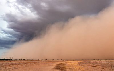 تدني مدى الرؤية الأفقية بسبب الغبار في مناطق عديدة على الطريق الصحراوي وفقاً للأمن العام