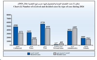 تراجع قياسي في قضايا الأحوال الشخصية بنسبة 63.8% مع تصاعد الجنايات في 2024