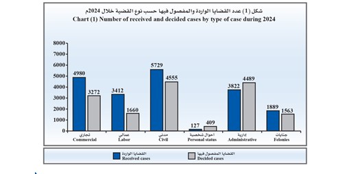 تراجع قياسي في قضايا الأحوال الشخصية بنسبة 63.8% مع تصاعد الجنايات في 2024