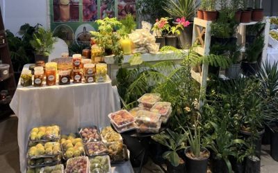 ختام فعاليات فاكهة طبرجل 4 بدعم 15 منتجًا من الزراعة والغذاء المتميز