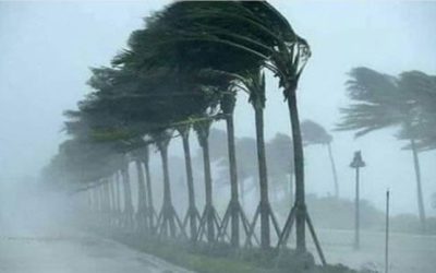 رياح شديدة تصفع منطقة حائل