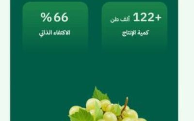 زيادة إنتاج العنب ليصل إلى 122 ألف طن